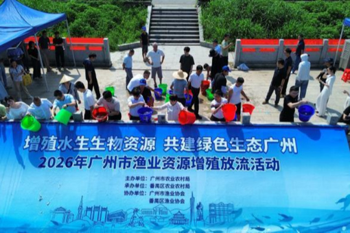 河南移动互联网用户破亿 算力规模成倍增长