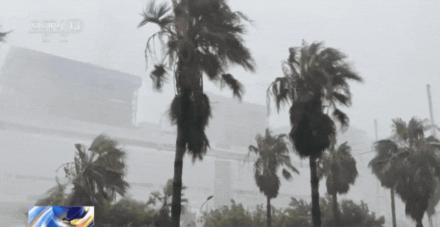 特大暴雨，“白海豚”深入内陆！警惕“三碰头”风险