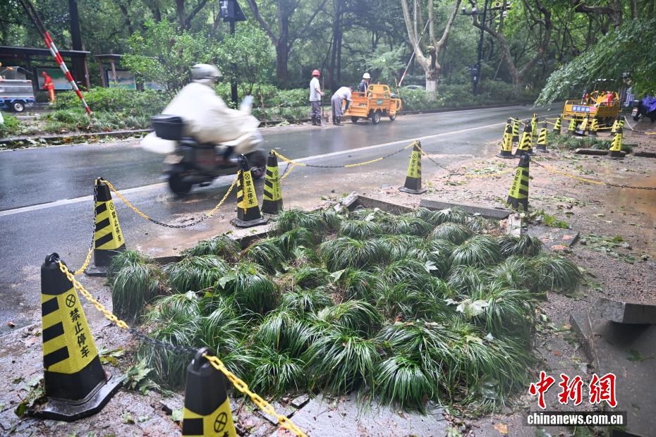 “白海豚”将北上西进，给华东、华北多地带来极端性强降水