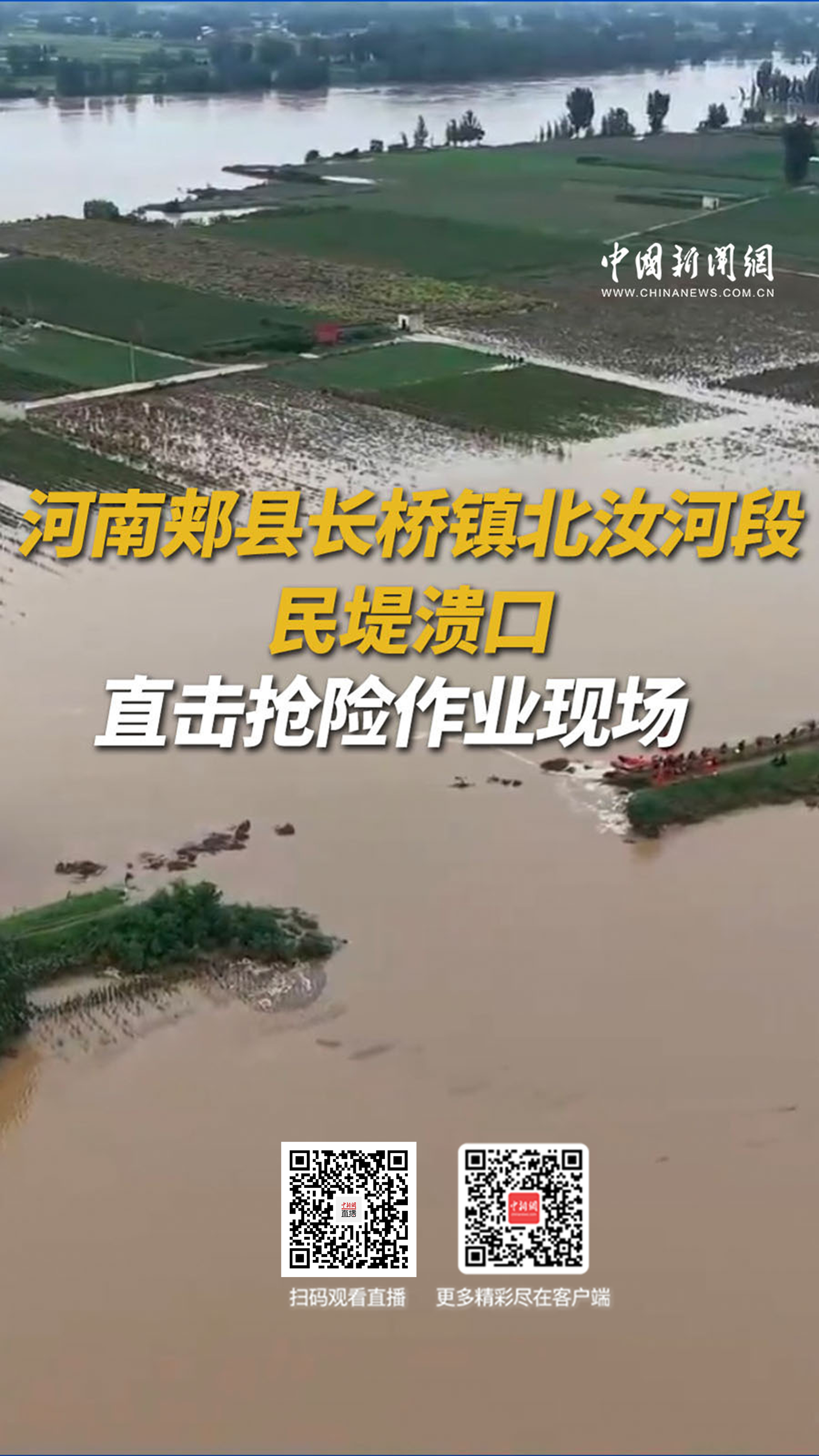 直播海报：河南郏县长桥镇北汝河段民堤溃口 直击抢险作业现场