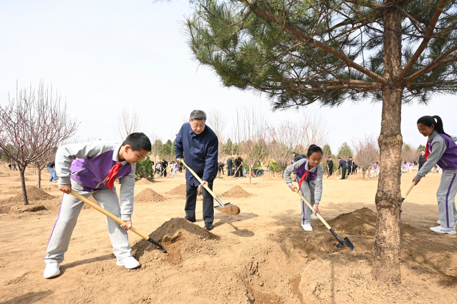 学习进行时丨筑牢美丽中国建设的法治基石