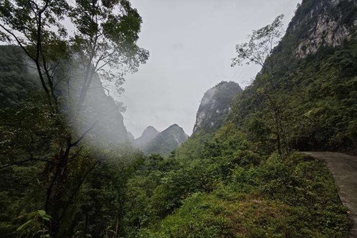 翻山越岭搭线送网进瑶寨 八桂大地数智铁塔护青绿