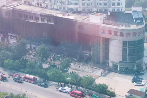 长江十年行｜一鹳归巢一豚逐浪，扬子江畔绘就共生长卷