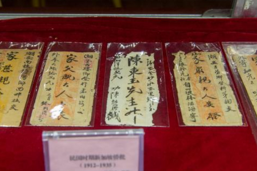 “蓉深港图定班列”开行一周年 激活成渝地区与粤港澳大湾区联动新动能