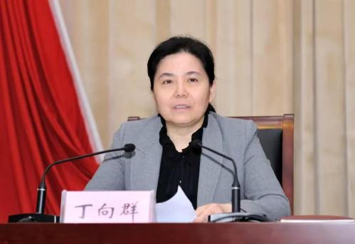 苏林“香会”回应中方提问：“3+3”战略对话机制具现实意义