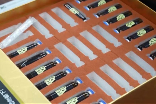 多国“洋网红”庐山行：用镜头向世界讲述庐山故事
