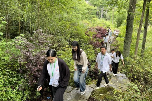意大利宋庆龄基金会主席金慧：为中意民间友好往来建筑“引航灯塔”