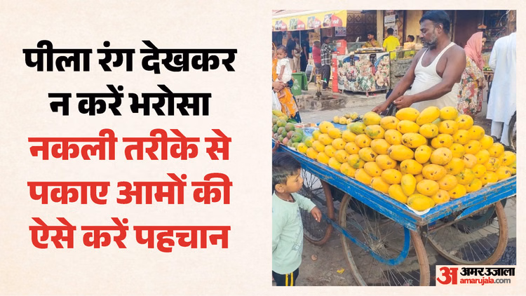 Mango Alert: क्या आप भी खरीद रहे हैं इस तरह के आम? स्वाद के चक्कर में सेहत न हो जाए खराब; ऐसे करें पहचान