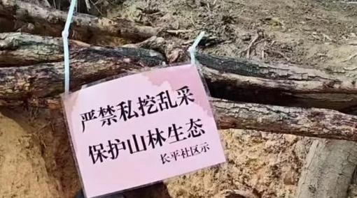 中国教育部：全国高等学校共计3196所