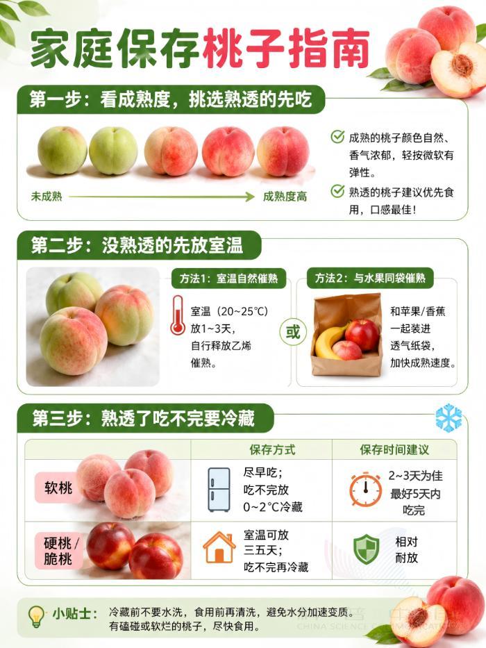挑桃子不能只看“红不红”，这些选桃技巧记得保存