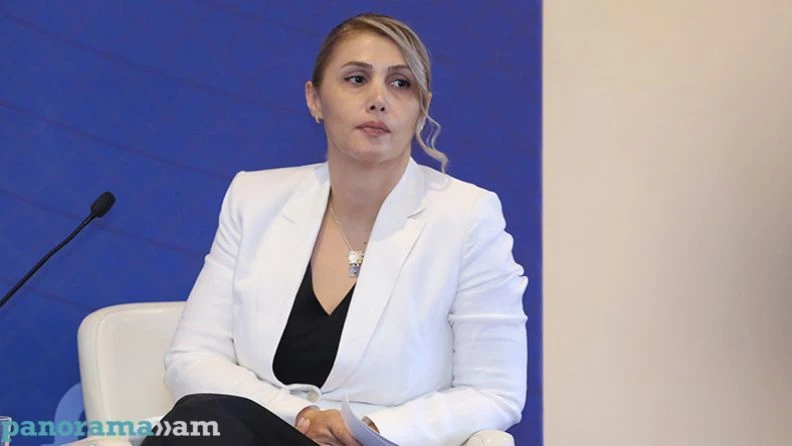 ԵԱՀԿ ԽՎ պատվիրակության հետ հանդիպման ենք գնալու մեծ փաթեթով. Էլինար Վարդանյան