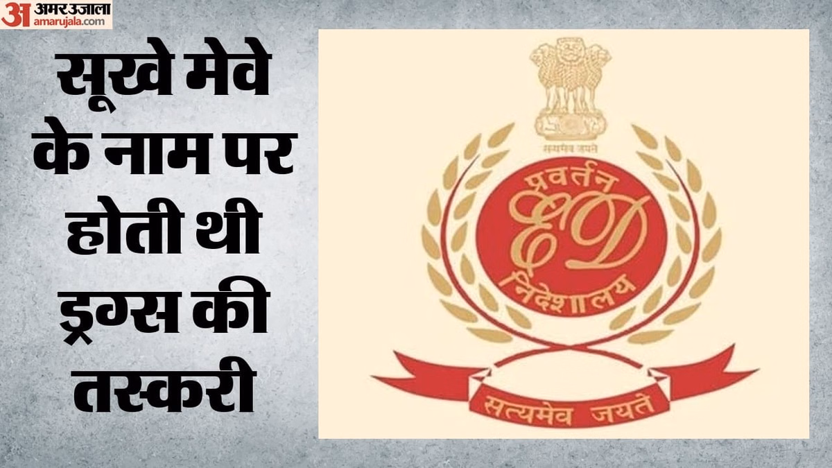 मुंद्रा पोर्ट ड्रग्स मामला: दिल्ली के व्यवसायी ने नाइट क्लबों में लगाए ड्रग्स से कमाए पैसे, ईडी ने लगाया आरोप