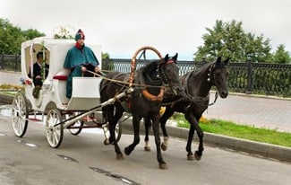 Идеальные отношения, или как муж жену воспитал