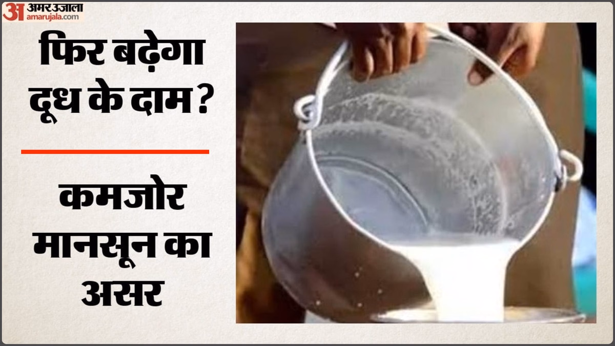 Dairy Industry: दूध के दाम में फिर बढ़ोतरी के संकेत, डेयरी कंपनियां बढ़ा सकती हैं कीमतें; कमजोर मानसून का असर