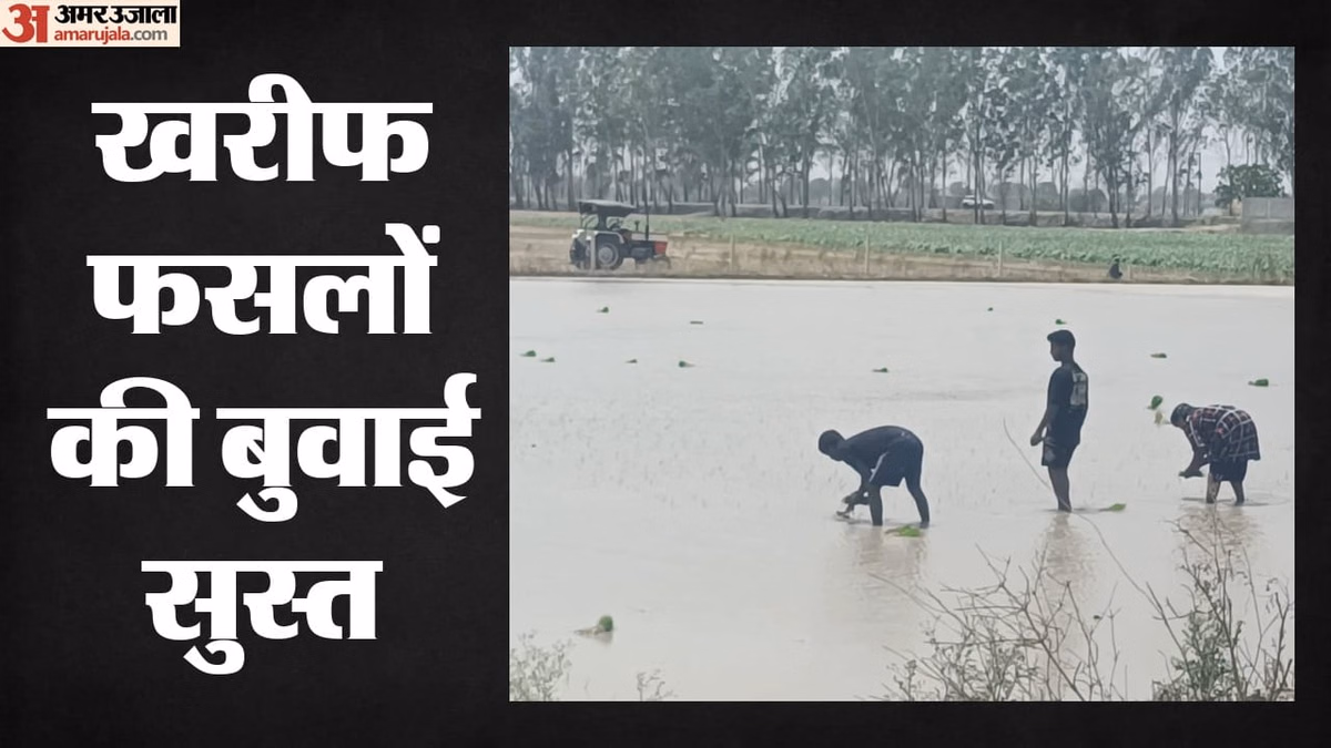 Kharif: मानसून की बेरुखी से खेतों में सन्नाटा; खरीफ बुवाई 23% गिरी, क्या अल-नीनो बढ़ाएगा महंगाई?