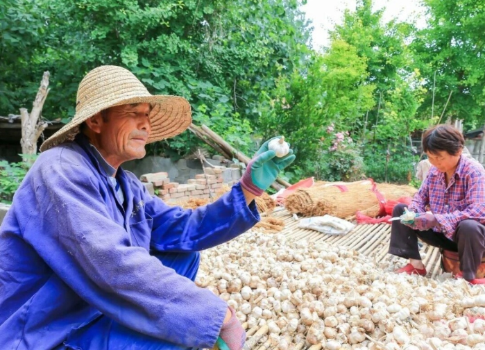 江苏邳州：蒜乡小镇的品质“三重奏”