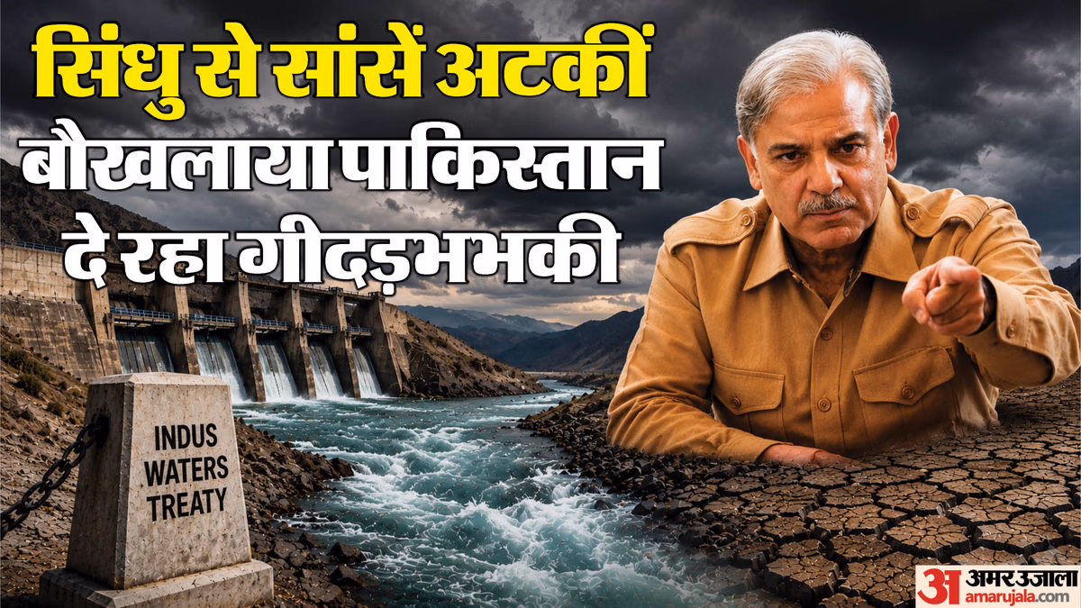 Explainer: सिंधु के पानी के लिए क्यों बौखलाया पाकिस्तान, क्या दाने-दाने को होने वाला है मोहताज?