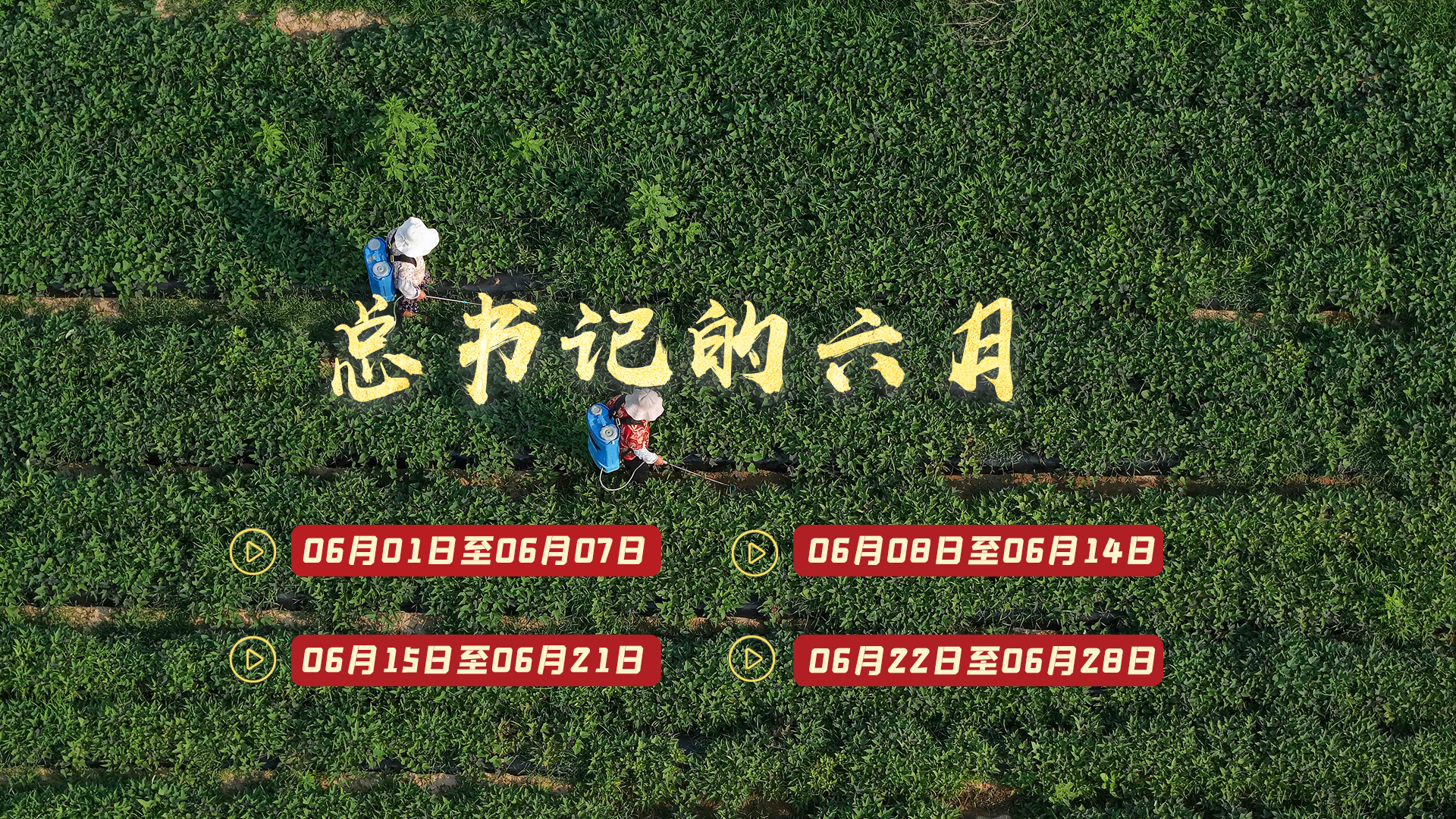 天天学习丨中南海月刊（2026.06）