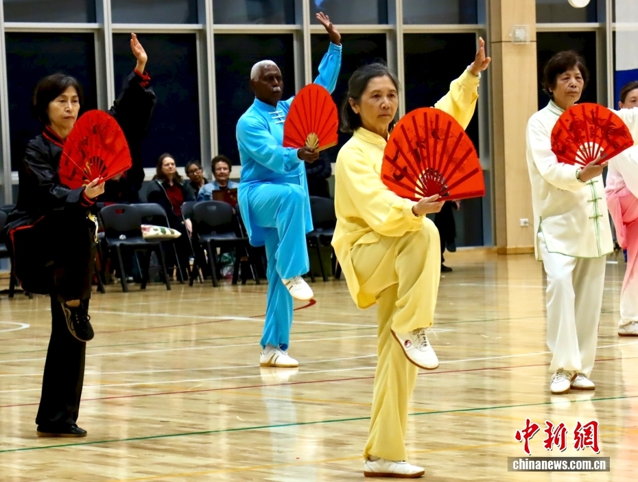 澳大利亚新州精武体育会举办武术节 庆祝创会50周年