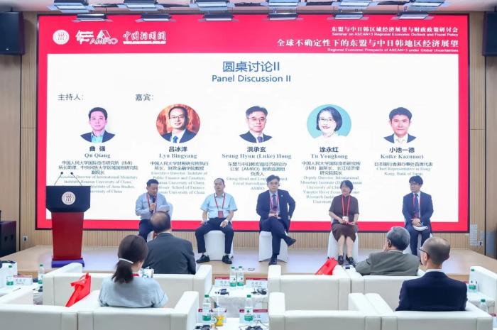 如何管好“东盟+3”的“钱袋子”？中外专家支招