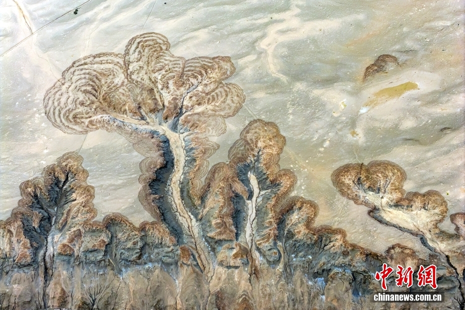 河南济源：黄河河床现“沙画”景观