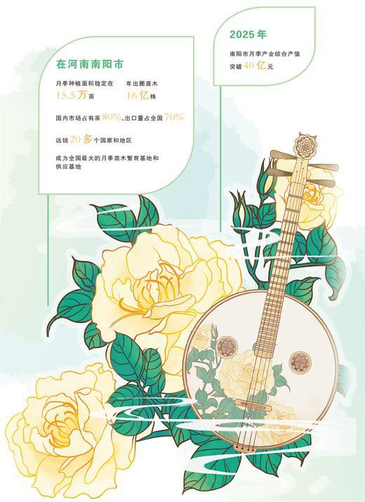南阳月季，何以一路繁花？