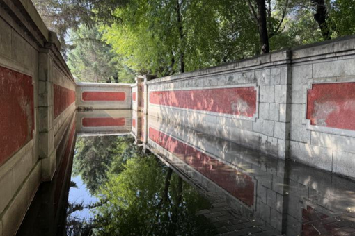 生长周期较传统种子种植缩短近一半 太空种子在沙漠落地开花