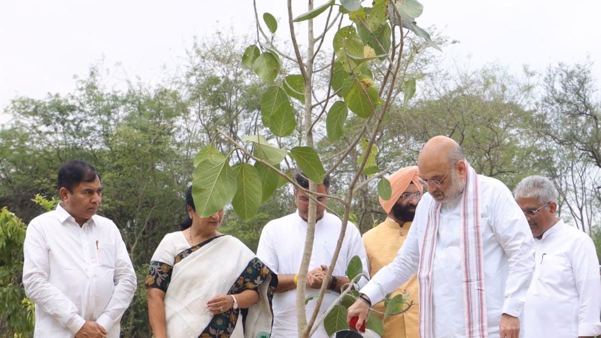 Delhi: दिल्ली में विदेशी और जहरीले बबूल के पौधों से तौबा, 100 वर्ष की आयु वाले ये पौधे बनेंगे दिल्ली का फेफड़ा
