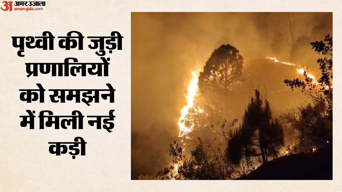 महासागरों में घुटा ऑक्सीजन का दम: फिर भड़की जंगल की आग, 37 करोड़ वर्ष पुराने रहस्य ने बदली विलुप्ति की कहानी
