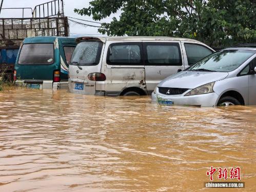 过敏不是抵抗力差 是免疫系统“过度敏感”