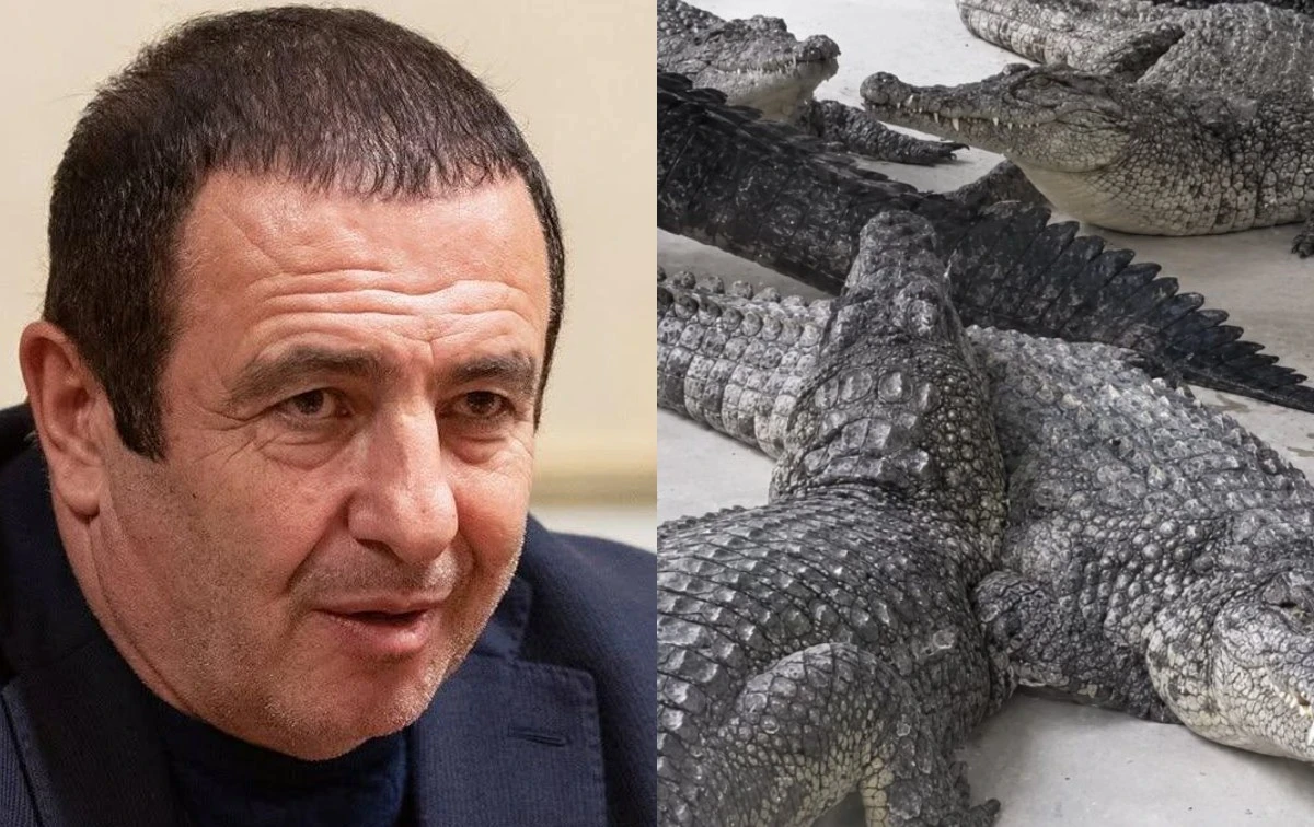 Կոկորդիլոսը ոչ ոքի չի վնասել. ՆԳՆ-ից հերքում են կոկորդիլոսի հարձակման մասին տեղեկությունը