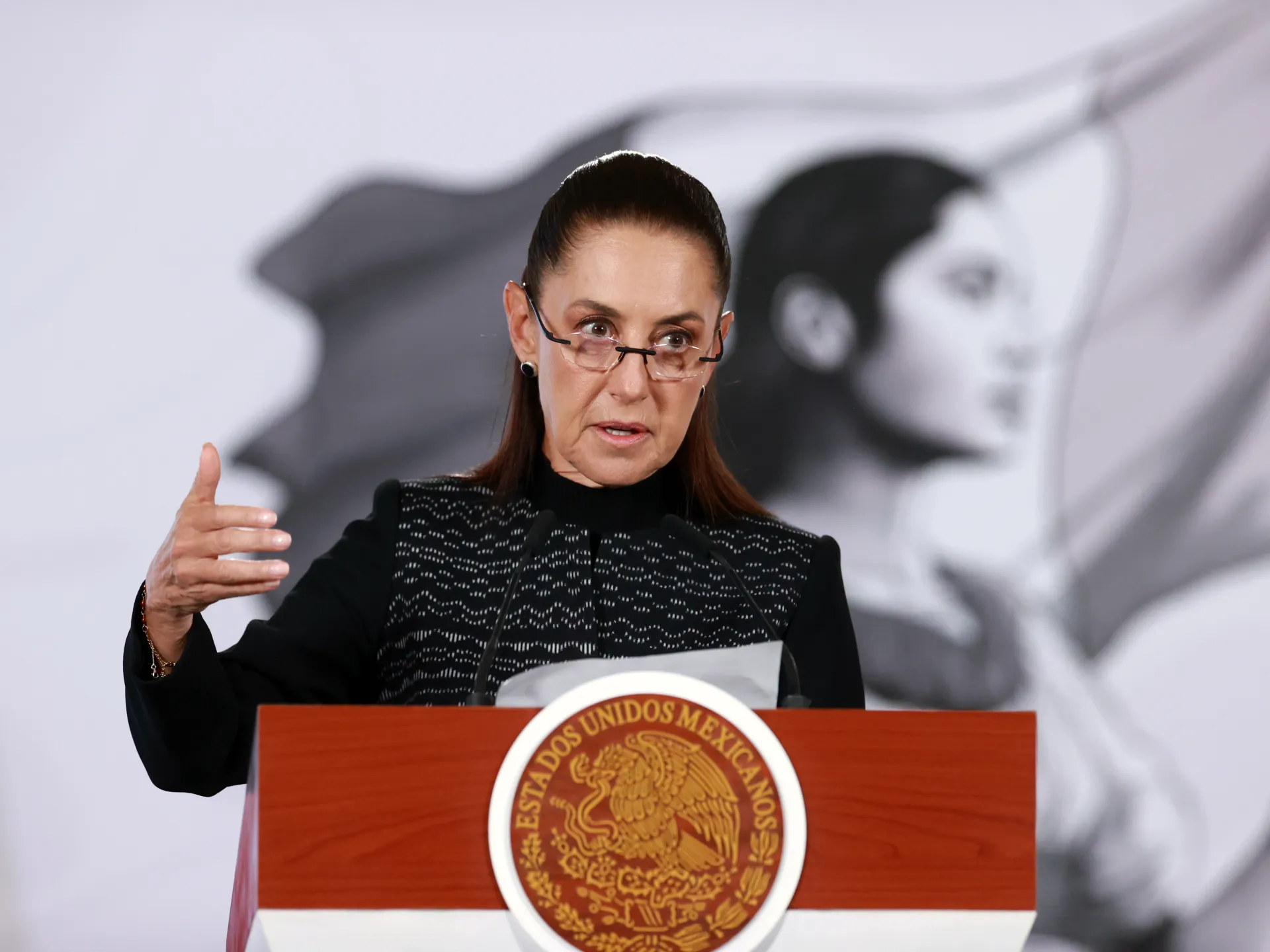 Mexico to seek US criminal complaints over ICE-related deaths of citizens