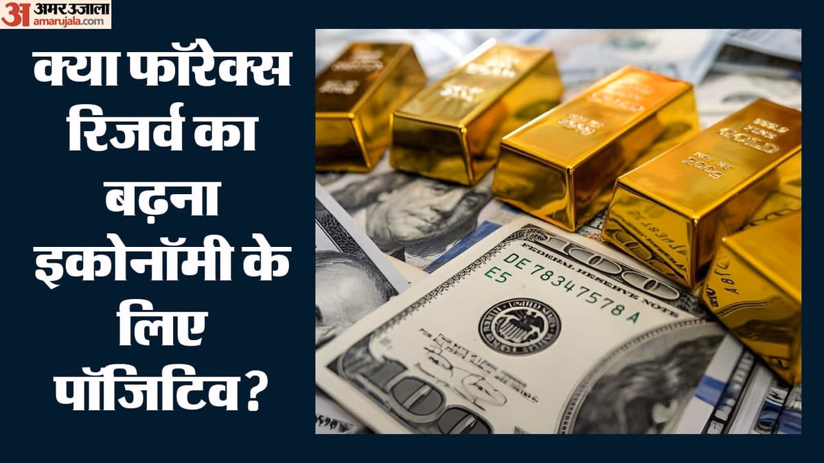 Forex Reserves: भारत के विदेशी मुद्रा भंडार में आया उछाल; 674 अरब डॉलर पर पहुंचा आंकड़ा, जानिए कैसे हुआ इजाफा