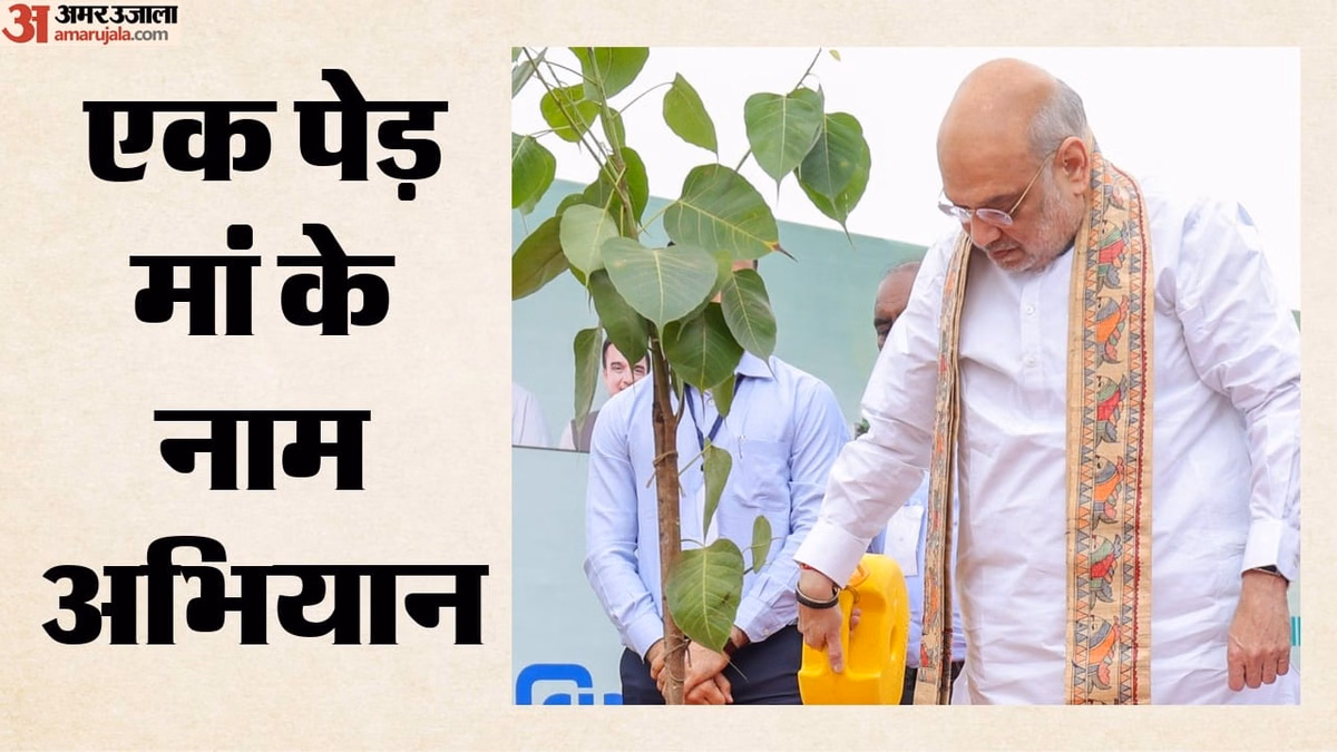 विश्व रिकॉर्ड: गांधीनगर में एक घंटे में लगाए 3.61 लाख पौधे, जापान की किस पद्धति से हुआ तेजी से पौधरोपण?