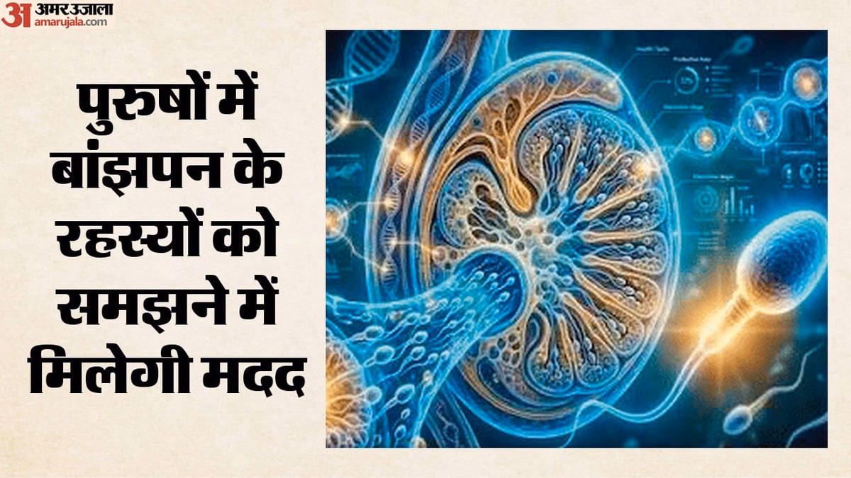 Stem Cell: अब मानव स्टेम सेल से बनेंगे शुक्राणु, बांझपन से निजात; प्रजनन विज्ञान को मिली नई दिशा