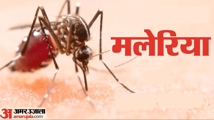 चिंताजनक: हॉटस्पॉट जिलों में मलेरिया बड़ी चुनौती, सरकार की बढ़ी मुश्किलें; आदिवासी इलाकों में फैल रहा संक्रमण