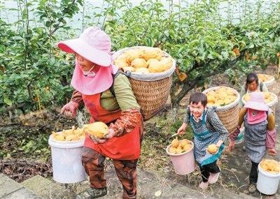 外交部：奉劝有关国家不要沦为美方散布虚假信息帮凶