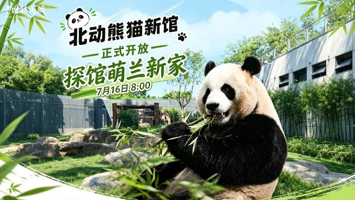 北动熊猫新馆正式开放 探馆萌兰新家