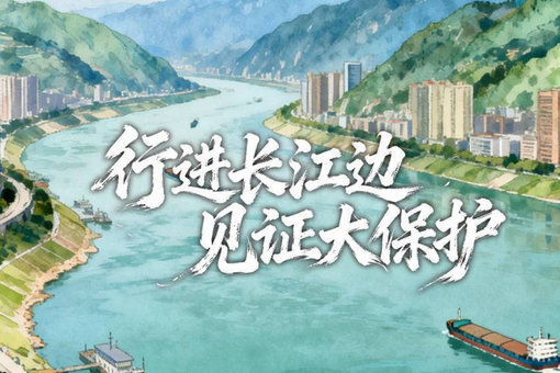 一篇声明，满纸“双标”