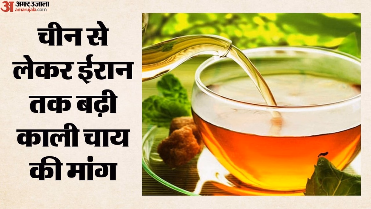 नई पहचान: इराक और ईरान समेत पश्चिम एशिया की चुस्की में बढ़ा भारतीय काली चाय का स्वाद, US-जर्मनी में भी निर्यात