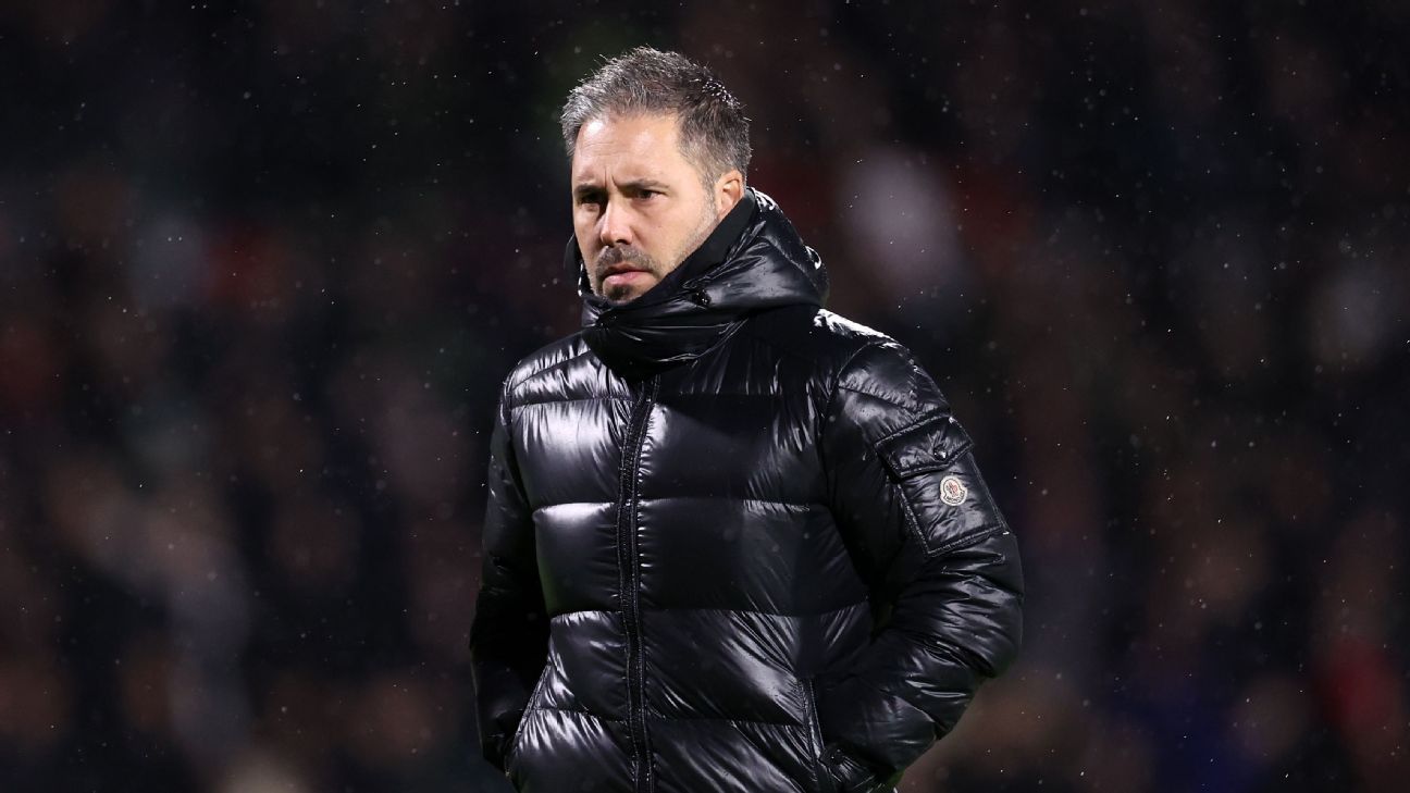 Timbers hire former Leicester manager Cifuentes