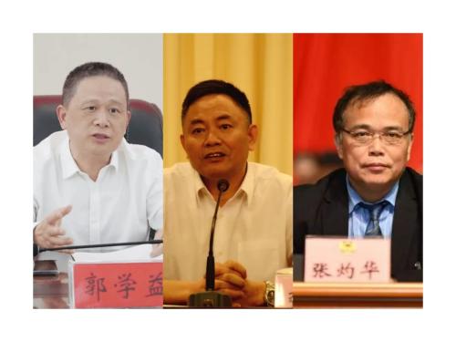高职专科志愿填报陆续启动 院校、志愿如何选？一文了解