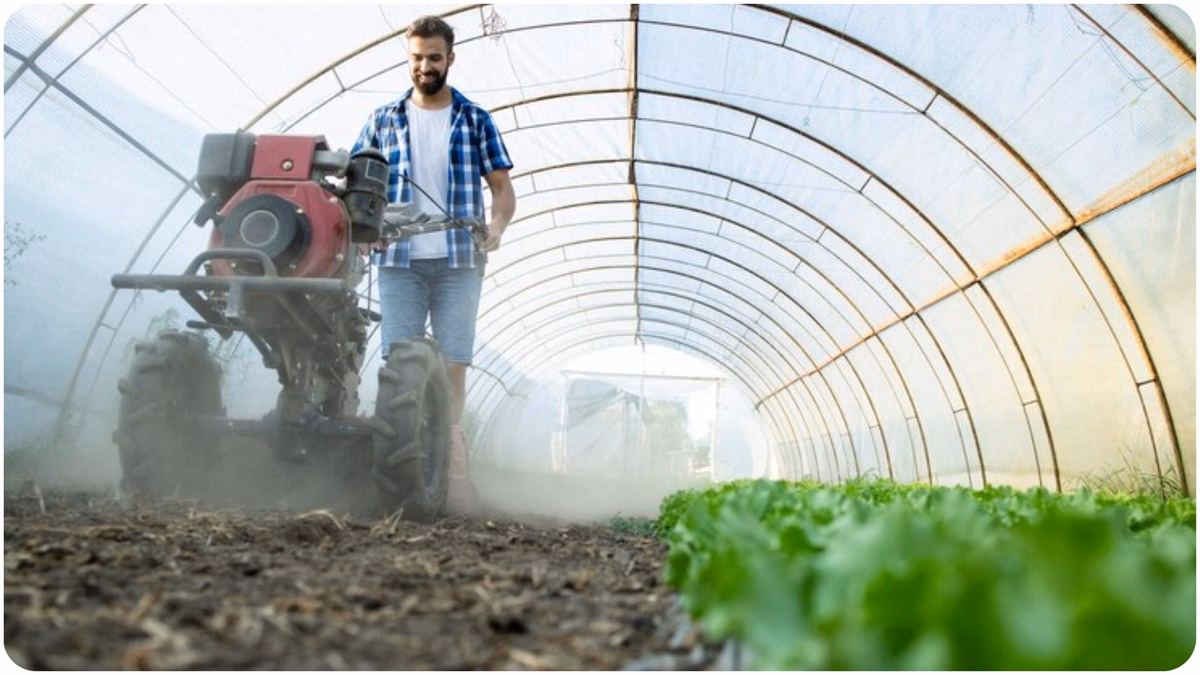Agriculture: किसानों को सीधे रियायती उर्वरक, 20 राज्यों के 40 जिलों में पायलट परियोजना शुरू