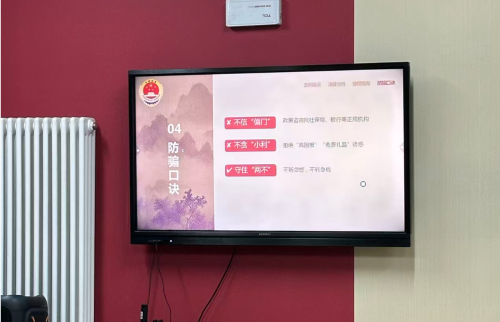 广东守护万余公顷红树林 构筑珠三角大美湿地体系