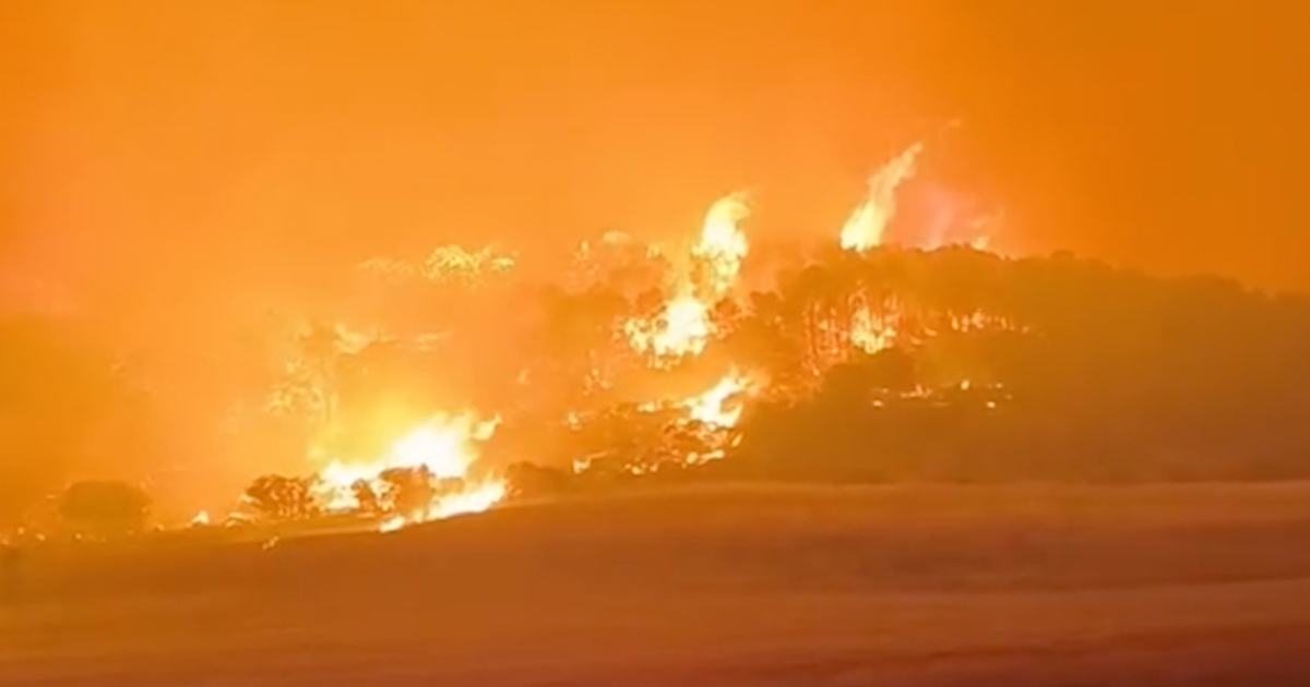 Heatwave drives major wildfires across North Africa