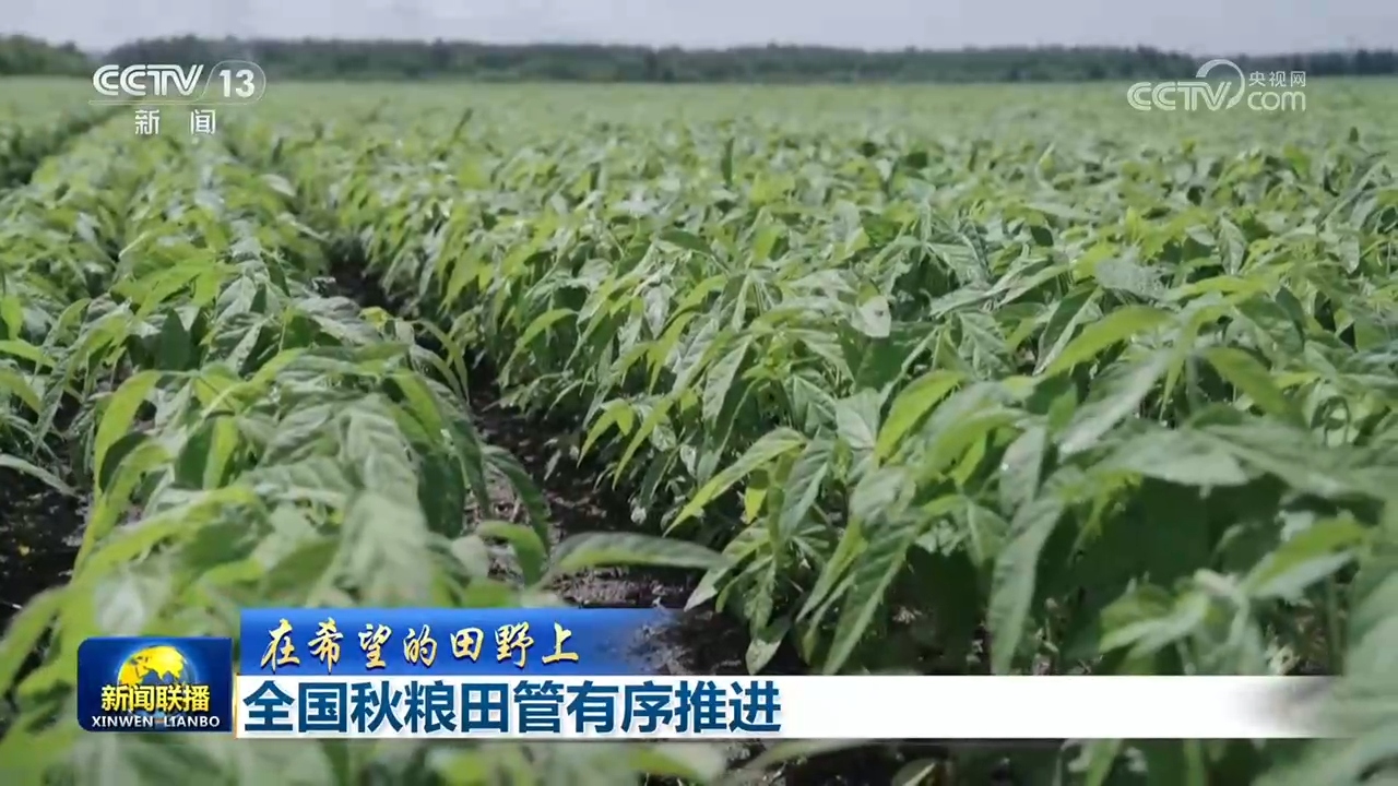 【在希望的田野上】全国秋粮田管有序推进