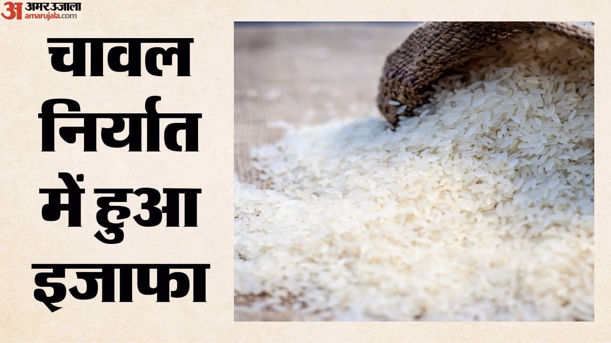 Rice Export: पश्चिम एशिया संकट के बावजूद भारत का चावल निर्यात पांच फीसदी बढ़ा, गैर-बासमती बना सहारा