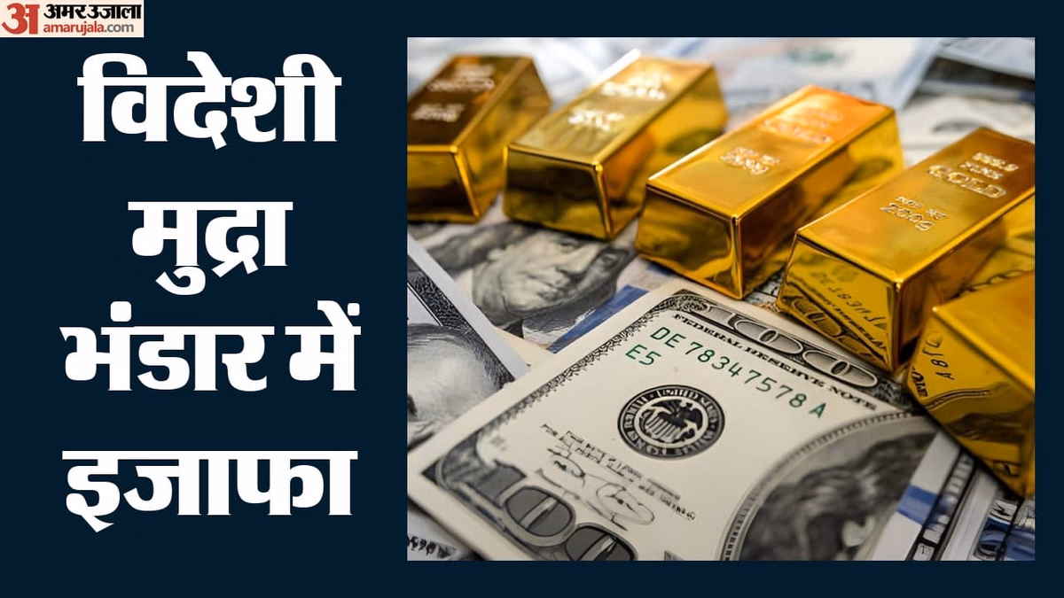 आरबीआई: भारत का विदेशी मुद्रा भंडार बढ़कर 682.23 अरब डॉलर हुआ, गोल्ड रिजर्व में भी इजाफा