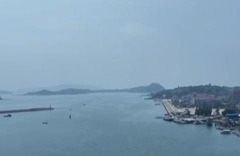 从算力底座到终端应用 “中国智造”全面出海