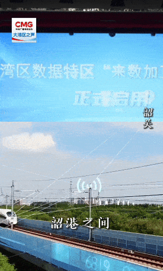 勇立潮头大湾区丨“来数加工”成跨境算力新场景